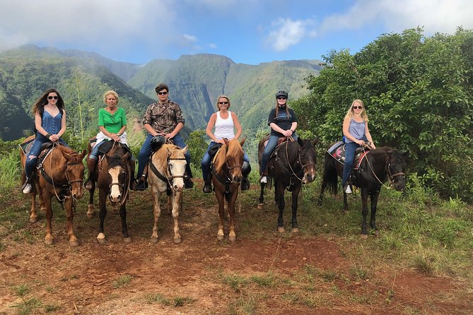 West Maui Mountain Waterfall and Ocean Tour via Horseback - The ranch animals add character