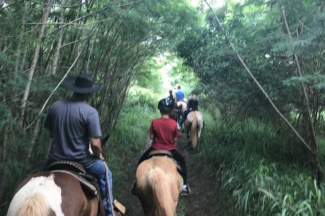 West Maui Mountain Waterfall and Ocean Tour via Horseback - Guides who make the difference