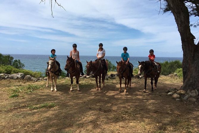 West Maui Mountain Waterfall and Ocean Tour via Horseback - Who should book this Maui horseback ride?
