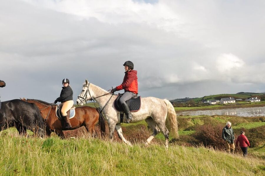 Westport: Beach and Countryside Guided Horse Ride - What the $90 price buys you