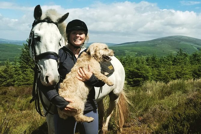 Wicklow Mountains Horse Trekking - Why this ride feels different from a standard horse lesson