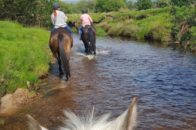 Wicklow Mountains Horse Trekking - Into the Wicklow Mountains and Kings River valley