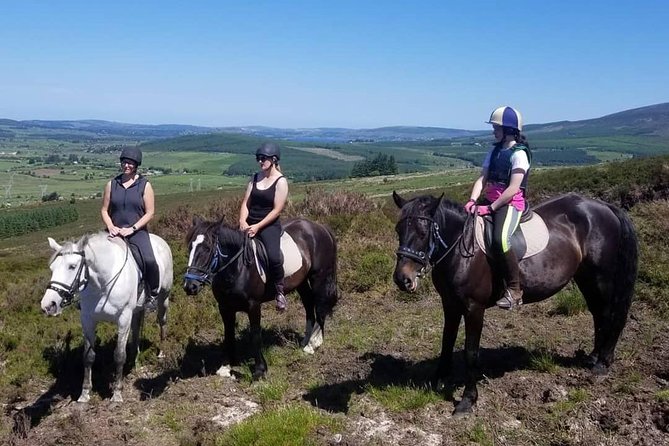 Wicklow Mountains Horse Trekking - Lake riding, walking, and the chance to canter