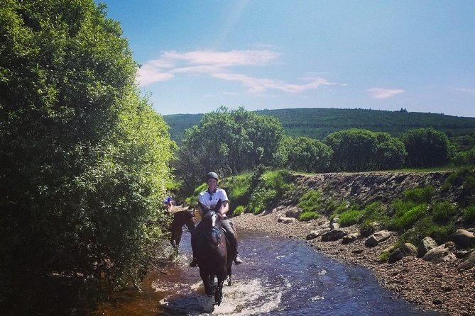 Wicklow Mountains Horse Trekking - What the $90.70 price gets you