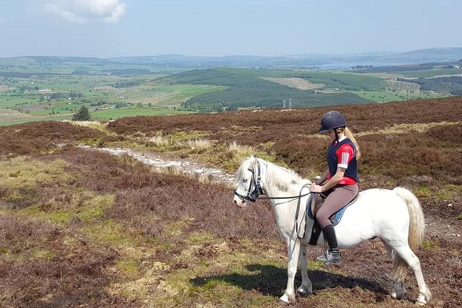 Wicklow Mountains Horse Trekking - Who will enjoy this most