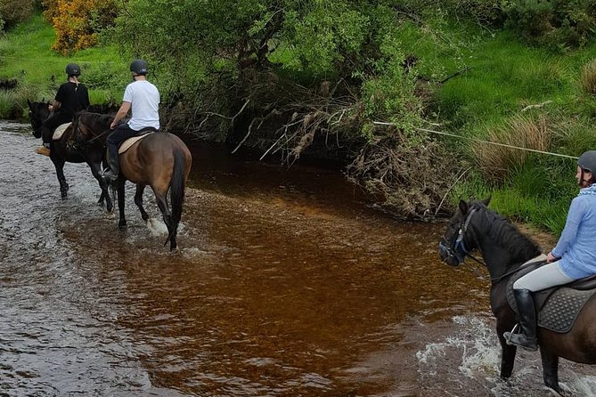 Wicklow Mountains Horse Trekking - Practical planning for a 10:00 am start