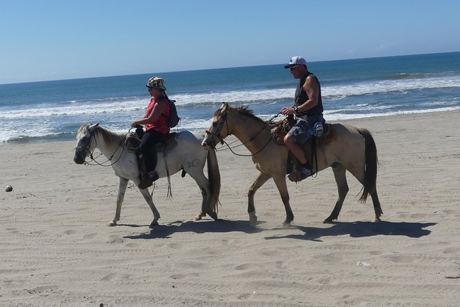 Wild & Free: Lagoon Boat, Beach Horseback, Crocs & Turtle Release - Taking the boat across the lagoon
