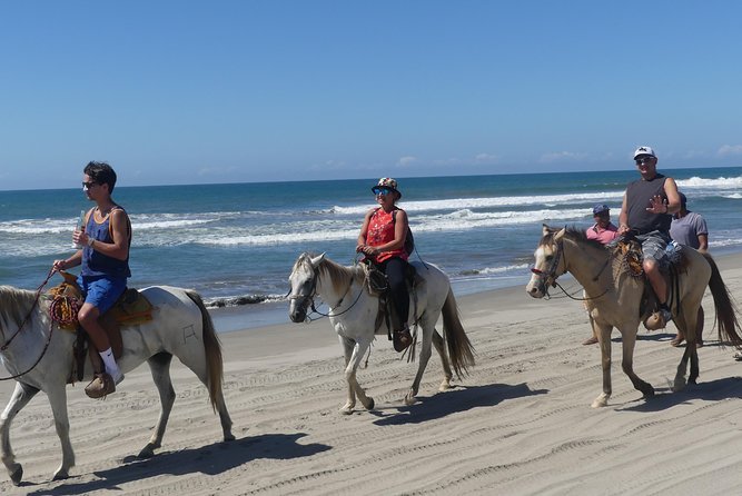 Wild & Free: Lagoon Boat, Beach Horseback, Crocs & Turtle Release - Meeting the crocodiles at the rustic farm