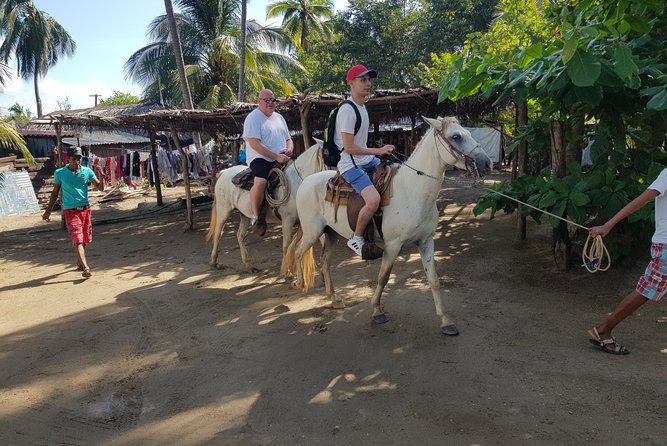 Wild & Free: Lagoon Boat, Beach Horseback, Crocs & Turtle Release - Why private pickup makes a difference