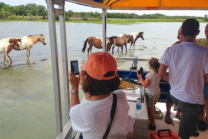 Wild Pony Watching Boat Tour from Chincoteague to Assateague - Captains, stories, and the quality of the narration