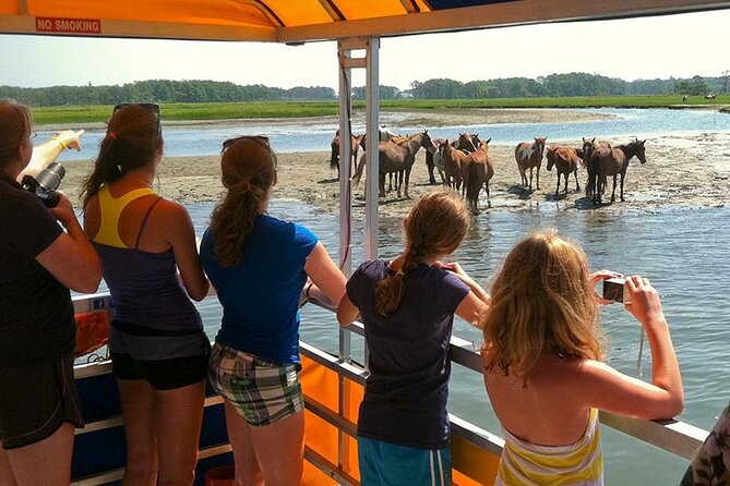Wild Pony Watching Boat Tour from Chincoteague to Assateague - How the $59 price measures up