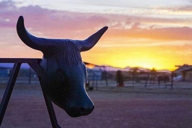 Wild West Sunset Horseback Ride with Dinner from Las Vegas - Campfire, roping, and ranch extras