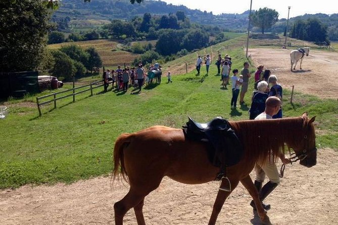 Wine tasting and horseback riding in Montepulciano, in Tuscany from Rome - Leaving Rome for the Tuscan hills