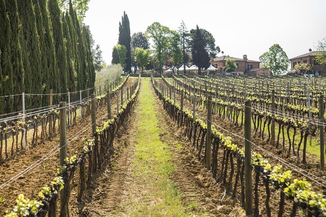 Wine tasting and horseback riding in Montepulciano, in Tuscany from Rome - What the $503.56 price really covers