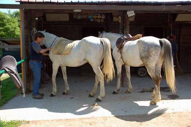 Wine tasting and horseback riding in Montepulciano, in Tuscany from Rome - Who will enjoy this day most