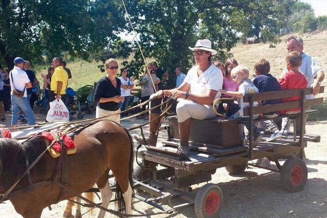 Wine tasting and horseback riding in Montepulciano, in Tuscany from Rome - Meeting Alfredo at the Montepulciano winery