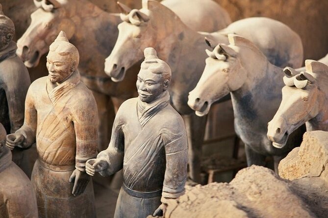 Xi'an Day Tour: Terra-Cotta Warriors & Horses from Beijing by Air - The biggest question: which tour are you actually booking?