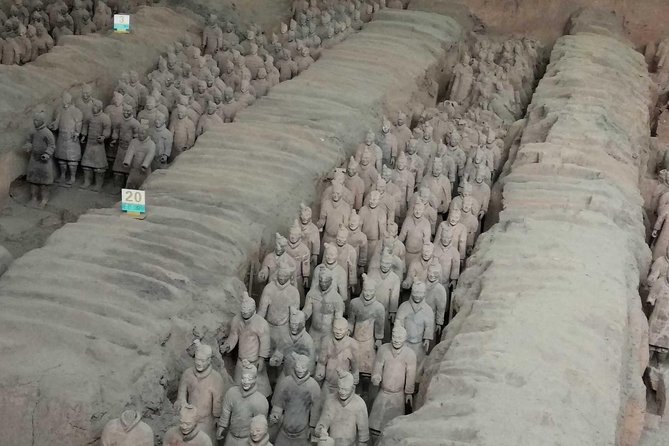 Xi'an Half-Day Private Tour of Terracotta Warriors and Horses Museum - What the guide adds to the museum visit