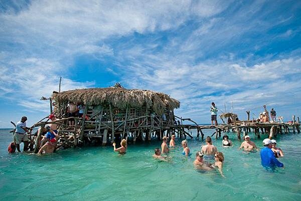 YS Falls, Pelican Bar, Horseback Ride/Swim Combo Tour with Lunch - YS Falls: seven tiers, boardwalk views, and optional ziplining