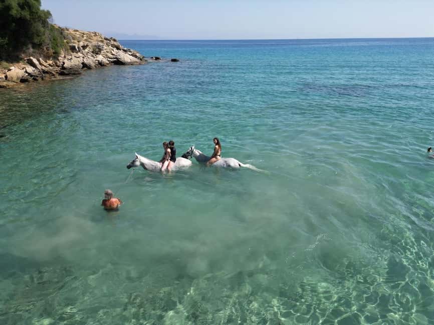 Zakynthos: Yotomu Horse Riding and Swimming Experience - Key points to know before you book