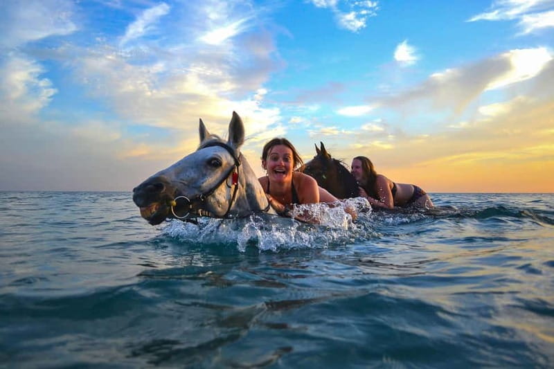 Zakynthos: Yotomu Horse Riding and Swimming Experience - What this Zakynthos horse ride is really like