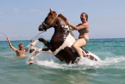 Zakynthos: Yotomu Horse Riding and Swimming Experience