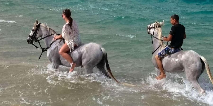 Zakynthos: Yotomu Horse Riding and Swimming Experience - Horses, guides, and the feel of the farm