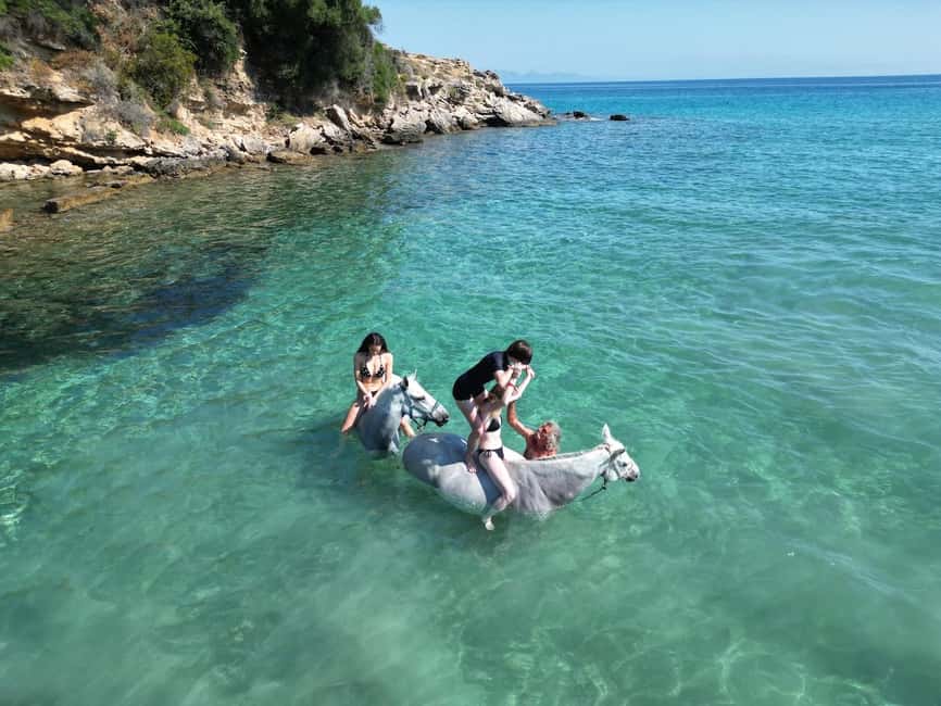 Zakynthos: Yotomu Horse Riding and Swimming Experience - Is $58 a fair price?