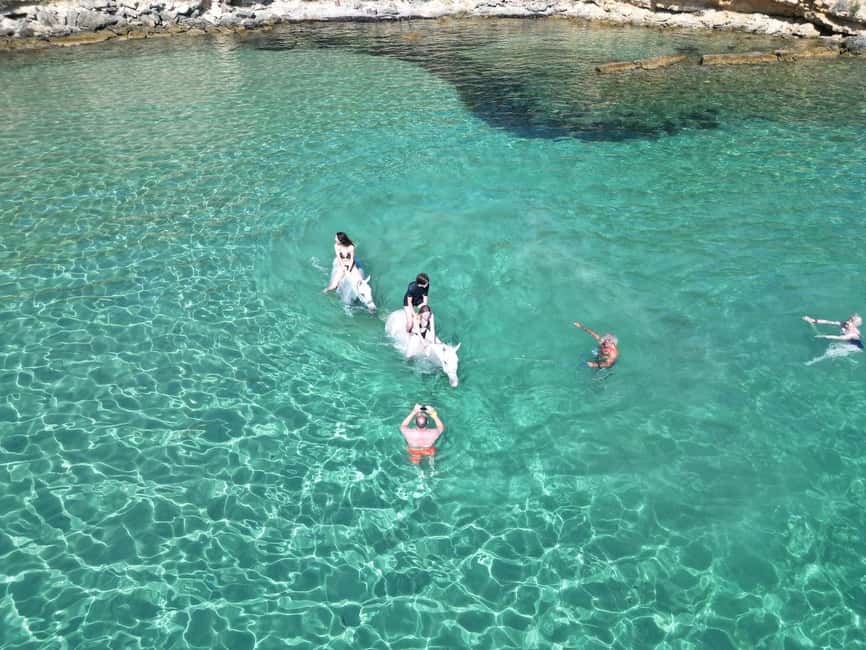 Zakynthos: Yotomu Horse Riding and Swimming Experience - Getting to Kato Gerakari