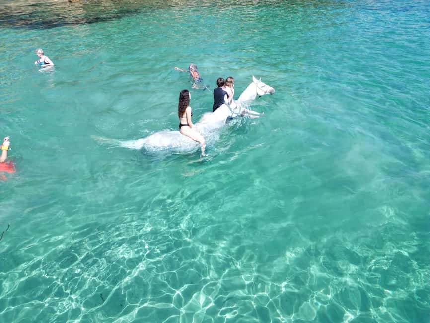 Zakynthos: Yotomu Horse Riding and Swimming Experience - Who will enjoy this most?