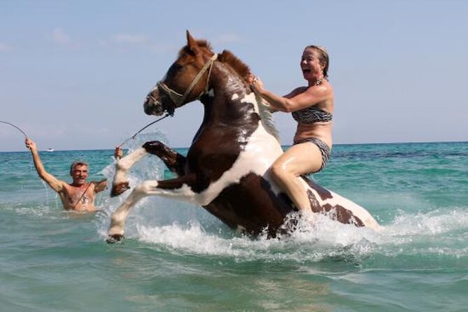 Zakytnhos Horse Riding Swimming Experience - Key things to know before booking