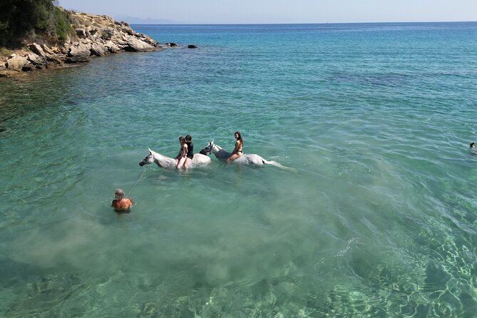 Zakytnhos Horse Riding Swimming Experience - The first hour through Zakynthos countryside