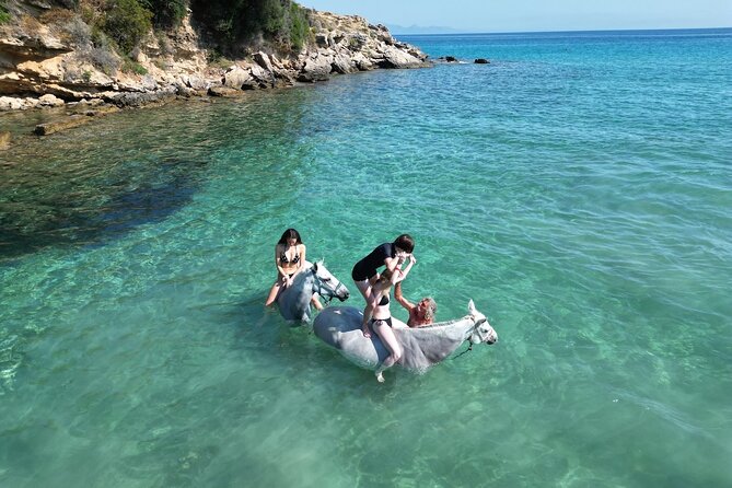 Zakytnhos Horse Riding Swimming Experience - Choosing between the three tour options