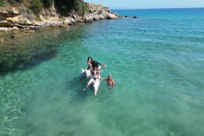 Zakytnhos Horse Riding Swimming Experience - What the $59.86 price means in practice