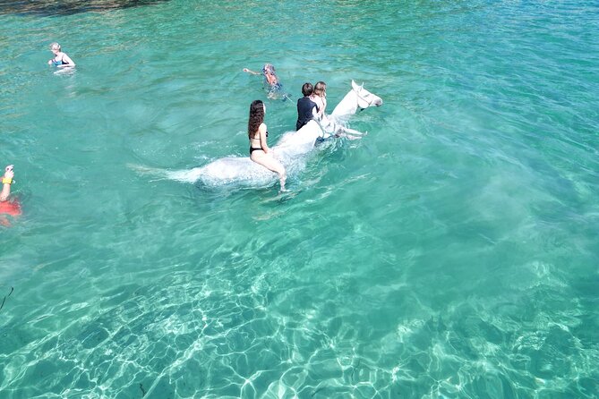 Zakytnhos Horse Riding Swimming Experience - Who will enjoy this ride most