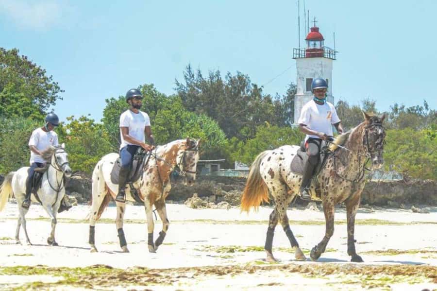 Zanzibar: Beach Horseback Ride and Swim with the Horse - Riding from your hotel to Zanzibar’s coast