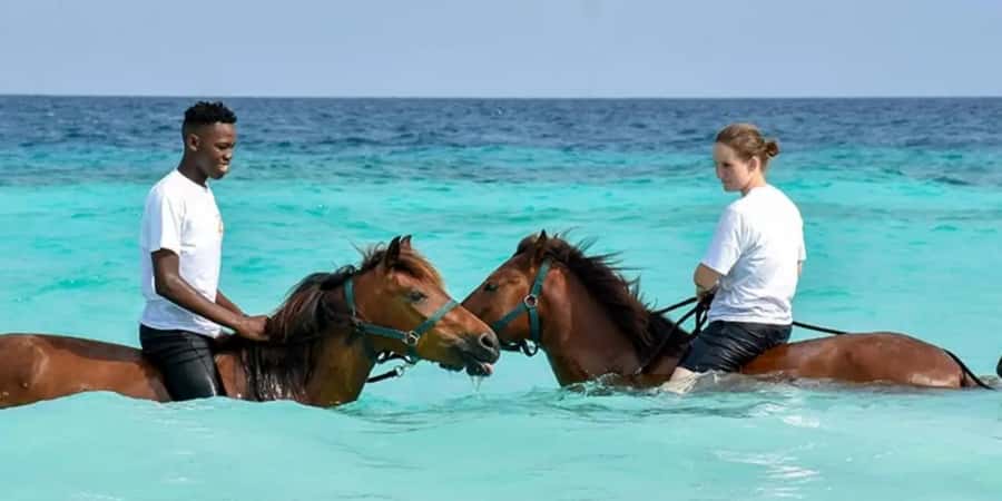 Zanzibar: Beach Horseback Ride and Swim with the Horse - The short ride to the white sand