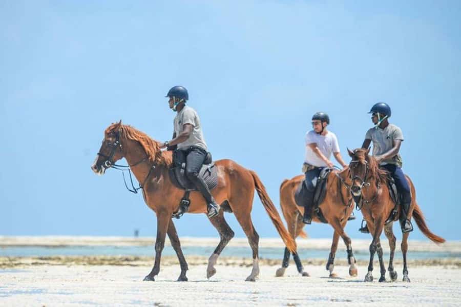 Zanzibar: Beach Horseback Ride and Swim with the Horse - Practical timing and cancellation advice