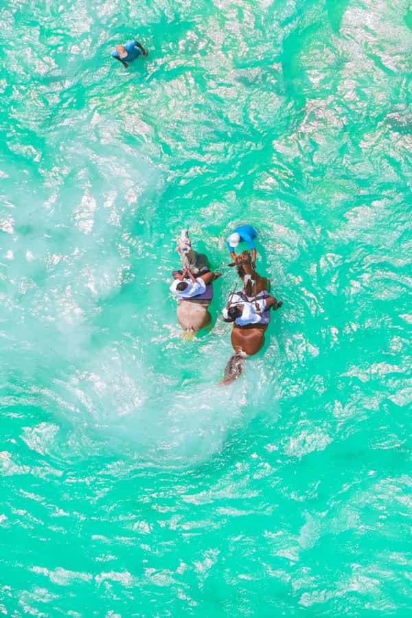 Zanzibar: Horse Riding and Kayaking with Video and Photos - Photos, video, and the drone advantage