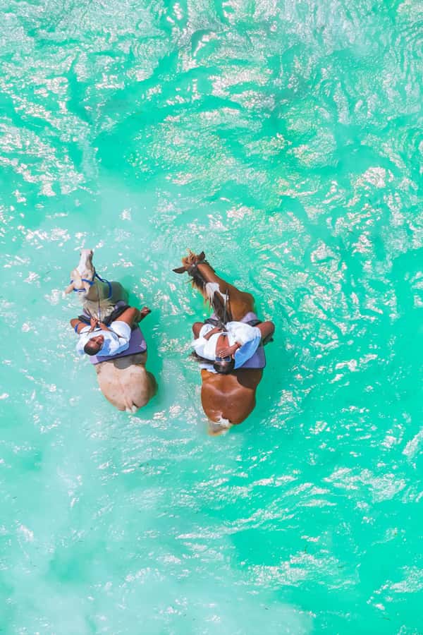 Zanzibar: Horse Riding and Kayaking with Video and Photos - Who should book it