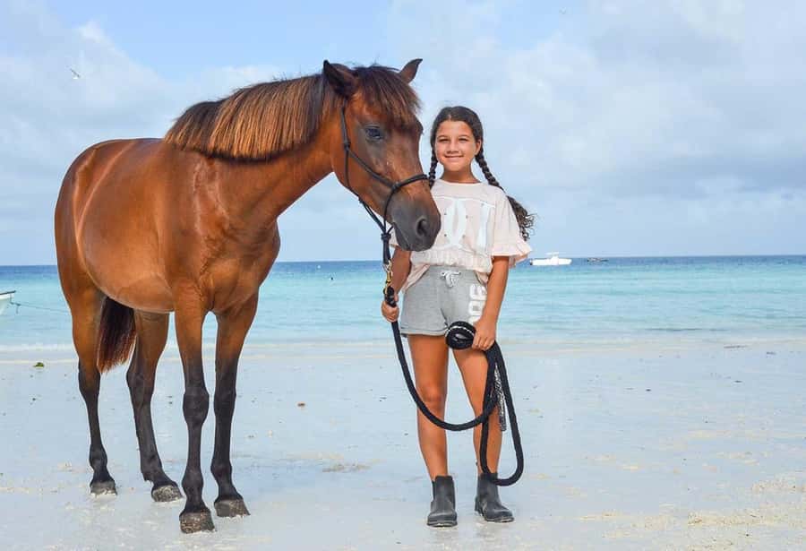 Zanzibar Horseback Riding - Key points to know before you book