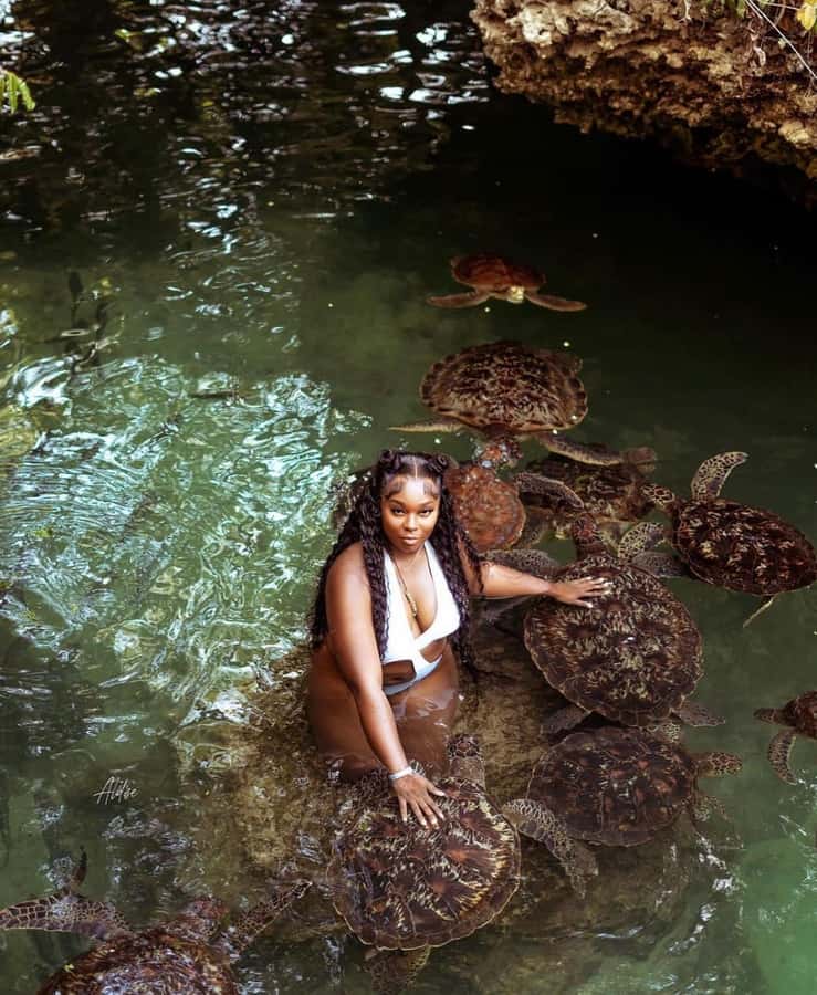 Zanzibar: Horseback Riding and Turtle Swimming Tour - The beach ride at Nungwi or Pwani Mchangani