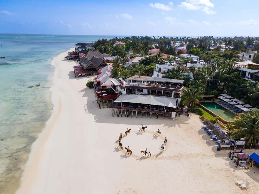 Zanzibar: Horseback Riding and Turtle Swimming Tour - Swimming with a horse in the Indian Ocean