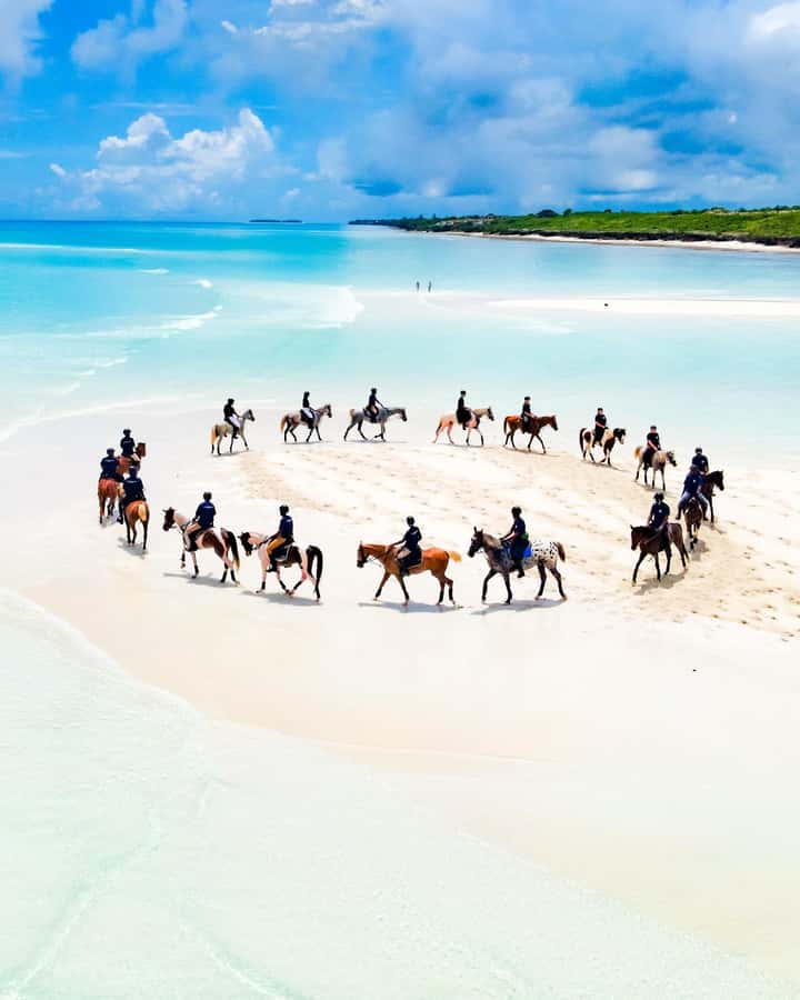 Zanzibar: Horseback Riding and Turtle Swimming Tour - What to bring for the horse and turtle stops