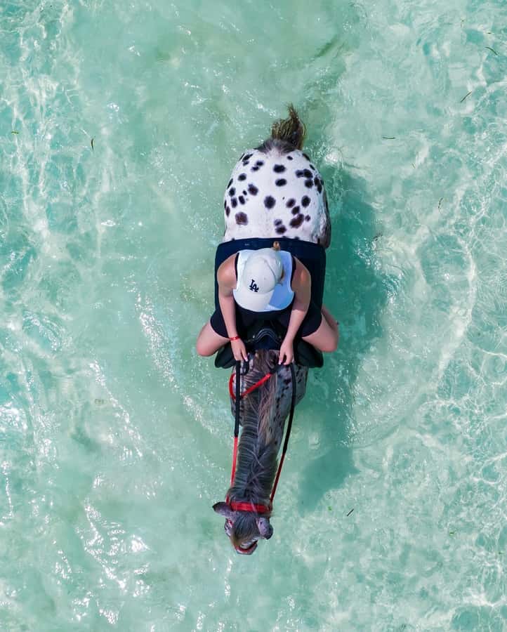 Zanzibar: Horseback Riding and Turtle Swimming Tour - Who will enjoy this private experience most