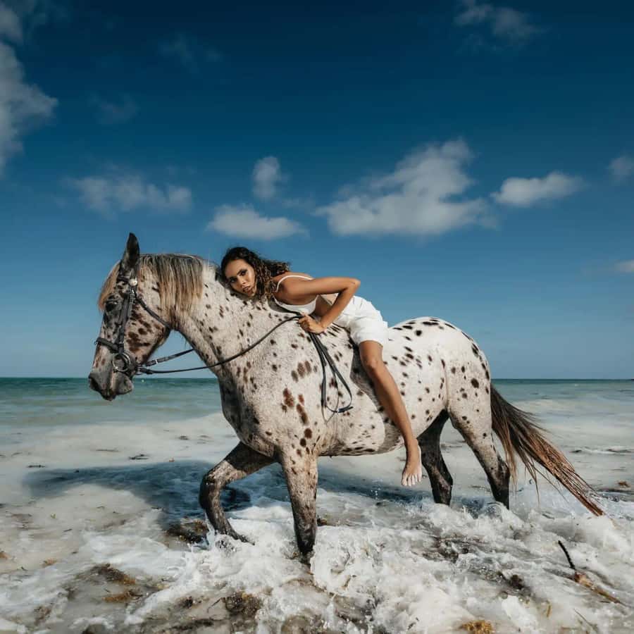Zanzibar: Horseback Riding and Turtle Swimming Tour - Booking details that affect the decision