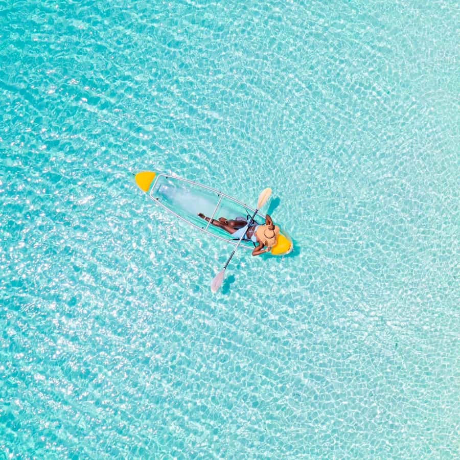 Zanzibar: Swimming With Horse and Clear Kayaking Tour - Key points to know before booking