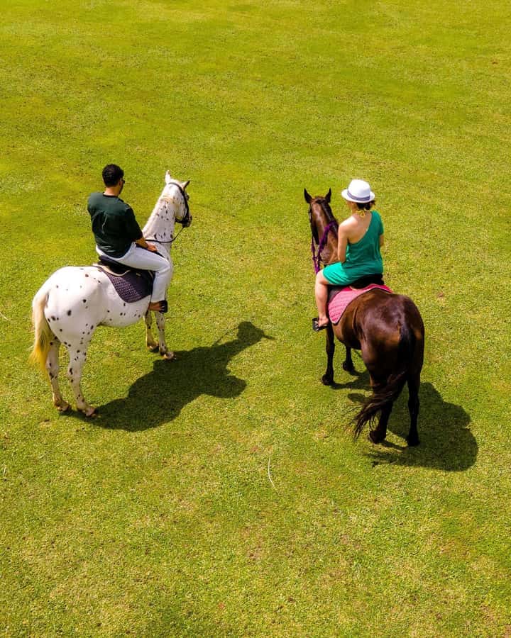 Zanzibar: Swimming With Horse and Clear Kayaking Tour - Riding and swimming at Pwani Mchangani or Nungwi