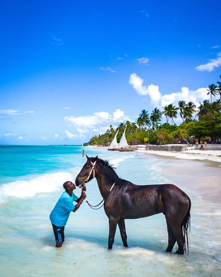 Zanzibar: Swimming With Horse and Clear Kayaking Tour - Optional water sports at Kendwa