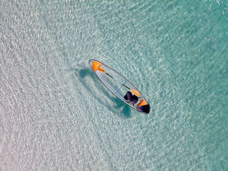 Zanzibar: Swimming With Horse and Clear Kayaking Tour - Useful preparation for the six-hour day